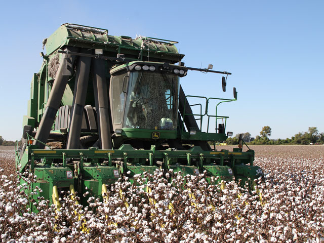 Machinery has changed life in the cotton field, says Justin Cariker, Dundee, Miss. Ease of harvest, good cotton yields and declining corn prices have him considering an acreage increase in 2014. (DTN photo by Pamela Smith) 
